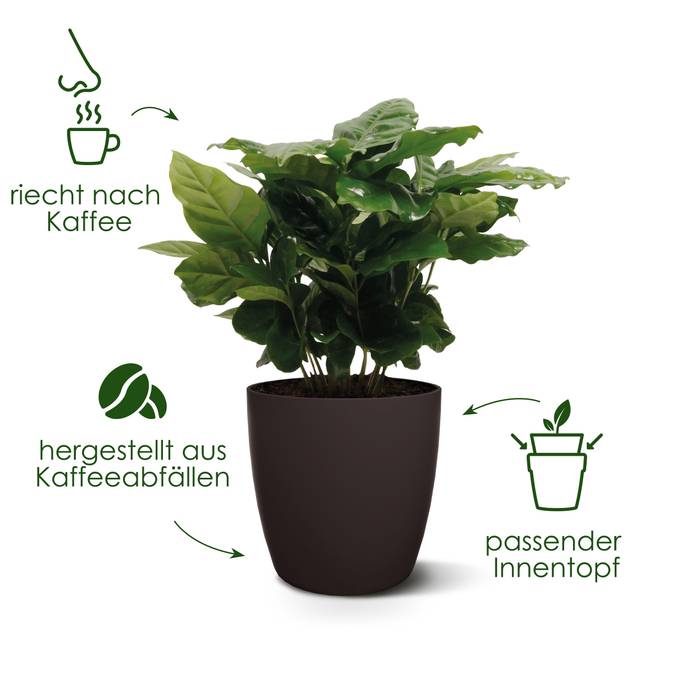 the coffee collection rund 14cm espresso braun